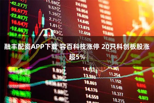 融丰配资APP下载 容百科技涨停 20只科创板股涨超5%